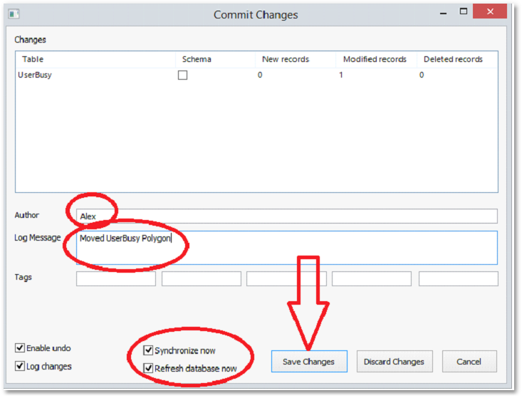 ALB_GISUsersManual_CommitChangesBox